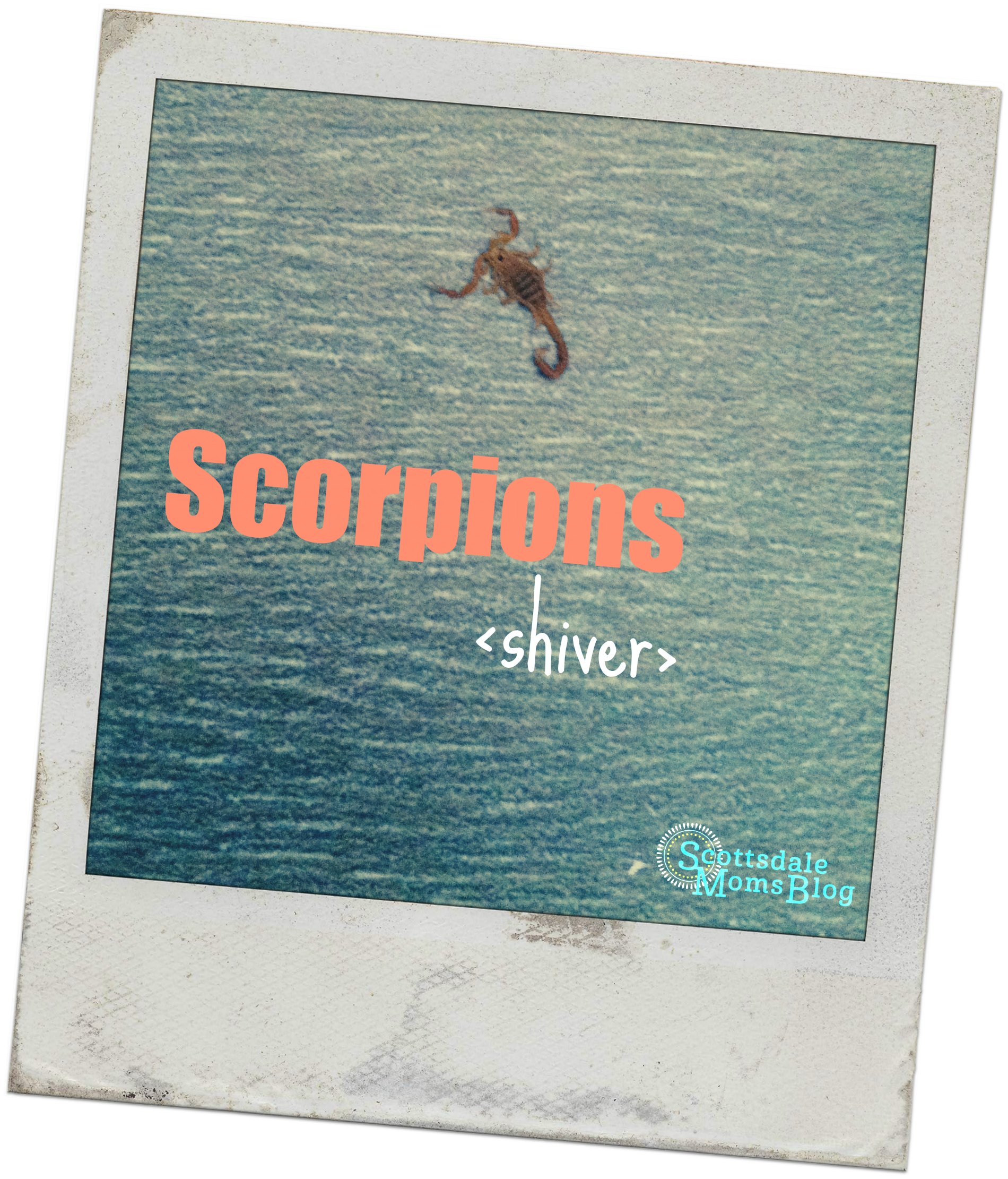 Our Truth About Scorpions {Contributor Corner}