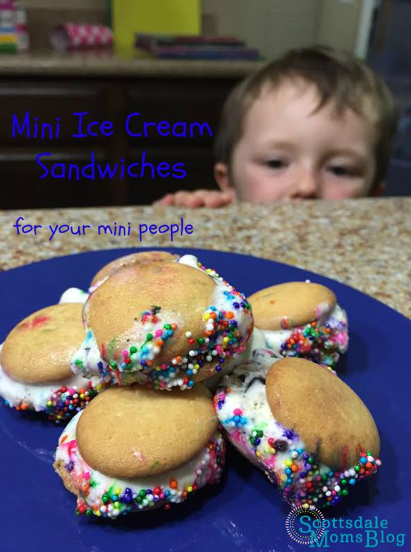 Mini Ice Cream Sandwiches (For Your Mini People)