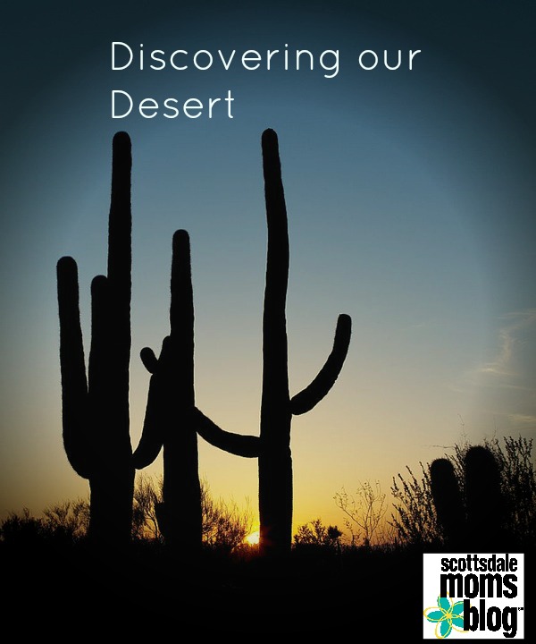 Discovering Our Desert