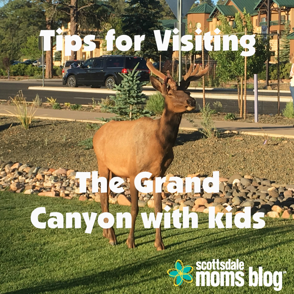 5 tips on visiting the Grand Canyon with kids
