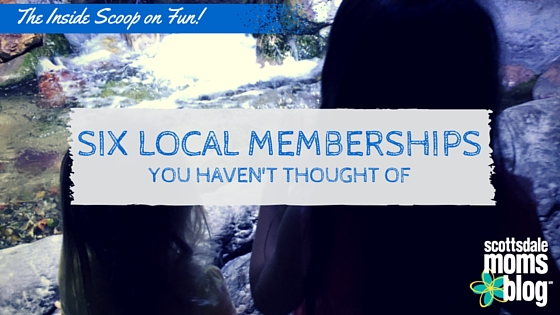 Inside Scoop on Fun: Six Local Memberships You Haven't Thought Of