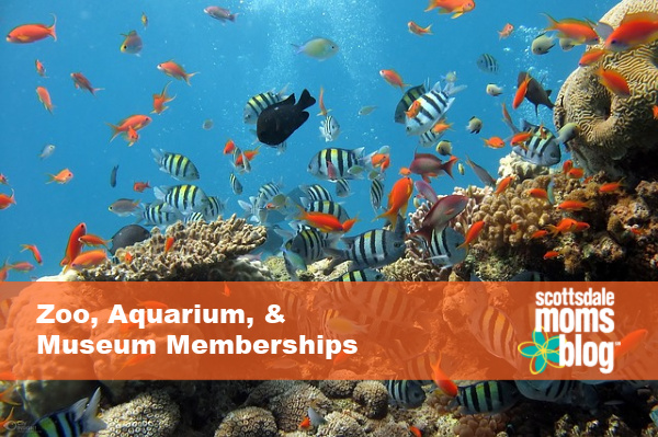 Zoo, Aquarium & Museum Memberships: Getting the Most Bang for Your Buck