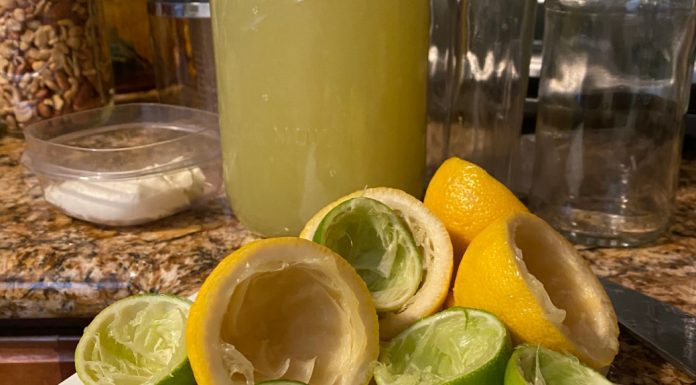 fermented lemonade