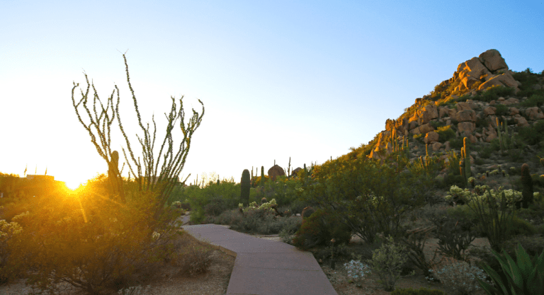 Scottsdale Spring Break Guide for Locals and Tourists